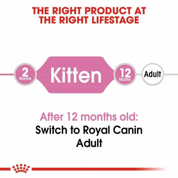 Royal Canin Second Age Kitten Food | 2 Kg | Dry Food