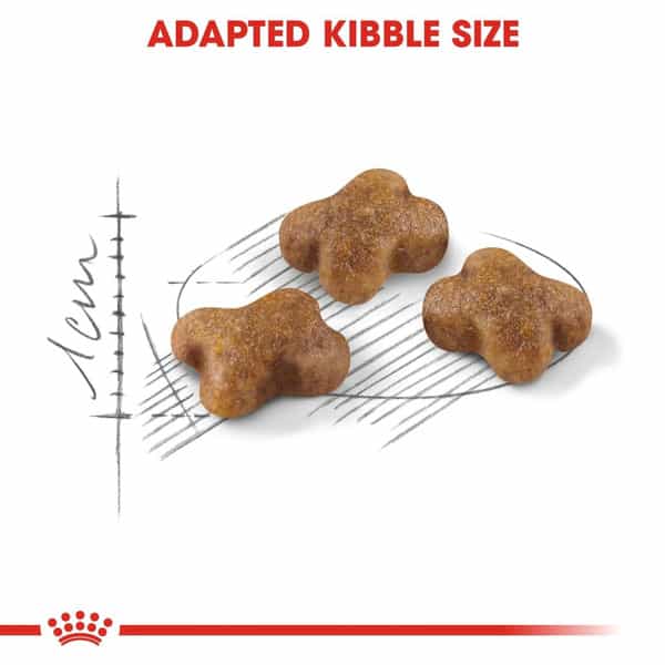 Royal Canin Second Age Kitten Food | 2 Kg | Dry Food