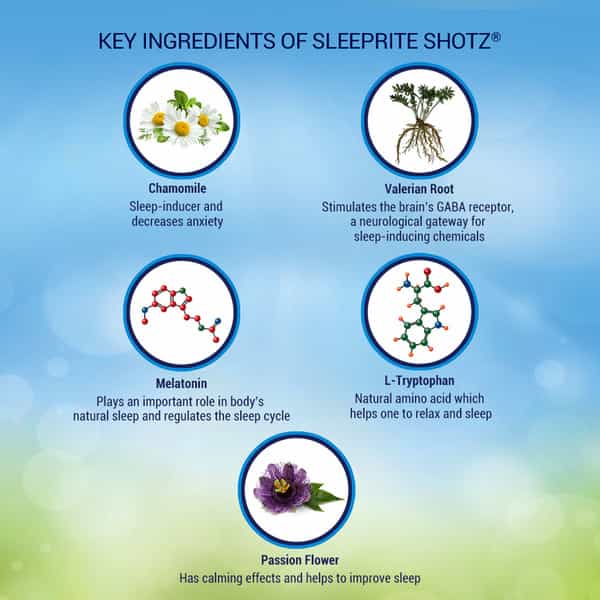Sleeprite Shotz Berryfusion (Pack Of 6)