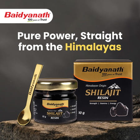 Baidyanath Himalayan Shilajit Resin | Rich In Fulvic Acid | For Strength | Power & Stamina - 10g