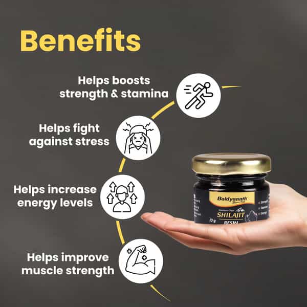 Baidyanath Ayurved Himalayan Shilajit Resin 10G | Fulvic Acid Strength Support