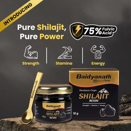 Baidyanath Himalayan Shilajit Resin | Rich In Fulvic Acid | For Strength | Power & Stamina - 10g
