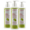 Jiva Amla Shampoo|Helps To Prevent Dandruff | Promotes Healthy Hair - 200Ml (Pack Of 3)