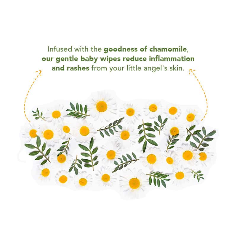 kara baby cleansing wipes