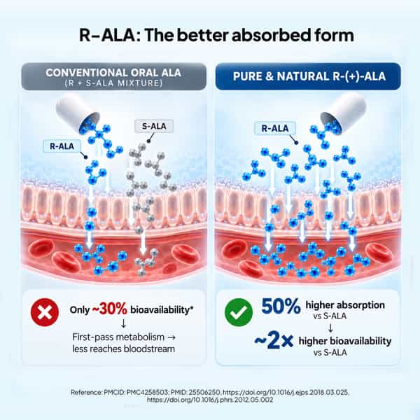 Miduty R-Ala 600Mg | 99% Bioactive R-Alpha Lipoic Acid | 30 Veg Capsules