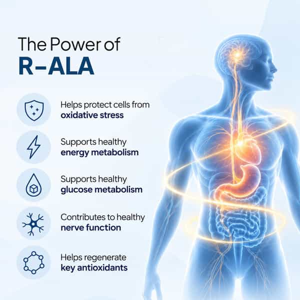 Miduty R-Ala 600Mg | 99% Bioactive R-Alpha Lipoic Acid | 30 Veg Capsules