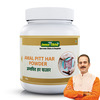 Jeena Sikho Amal Pitt Har Powder | Herbal Supplement For Liver And Digestive Wellness | 60 Gm