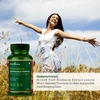 Smart Greens Plant Based Wholefood Biotin 10000 Mcg - 60 Capsules
