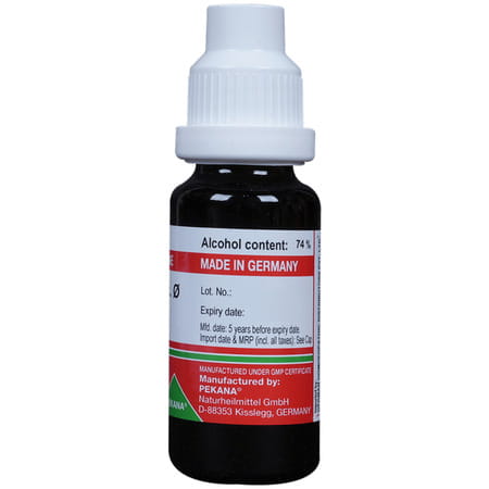 Adel Gaultheria Proc Mother Tincture Q 20 Ml