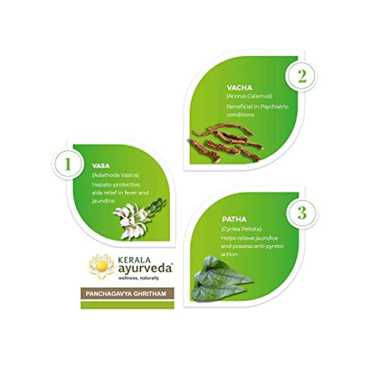 Buy KERALA AYURVEDA PANCHAGAVYA 150ML X PACK OF 2 Online & Get Upto 60