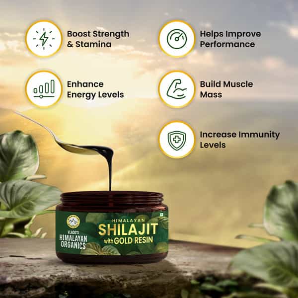 Vlado's Himalayan Organics Shilajit Gold Resin - 25G