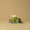 Urban Veda Purifying Ayurvedic Neem Protecting Night Cream 50 Ml