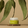 Urban Veda Purifying Ayurvedic Neem Protecting Night Cream 50 Ml