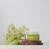 Urban Veda Purifying Ayurvedic Neem Protecting Night Cream 50 Ml