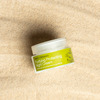 Urban Veda Purifying Ayurvedic Neem Protecting Night Cream 50 Ml