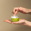 Urban Veda Purifying Ayurvedic Neem Protecting Night Cream 50 Ml