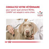 Royal Canin Veterinary Diet Cardiac | 2 Kg