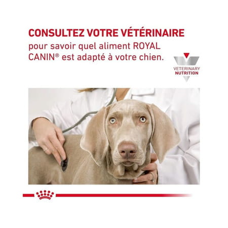 Royal Canin Veterinary Diet Cardiac | 2 Kg