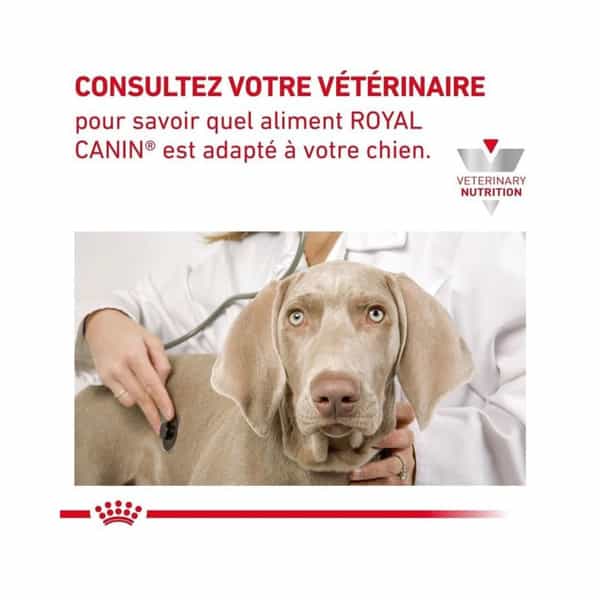 Royal Canin Veterinary Diet Cardiac | 2 Kg