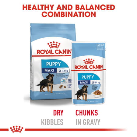 Royal Canin Maxi Puppy Food | 10 Kg | Dry Food | Supports Immune System & Digestive Health