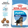 Royal Canin Maxi Puppy Food | 10 Kg | Dry Food | Supports Immune System & Digestive Health