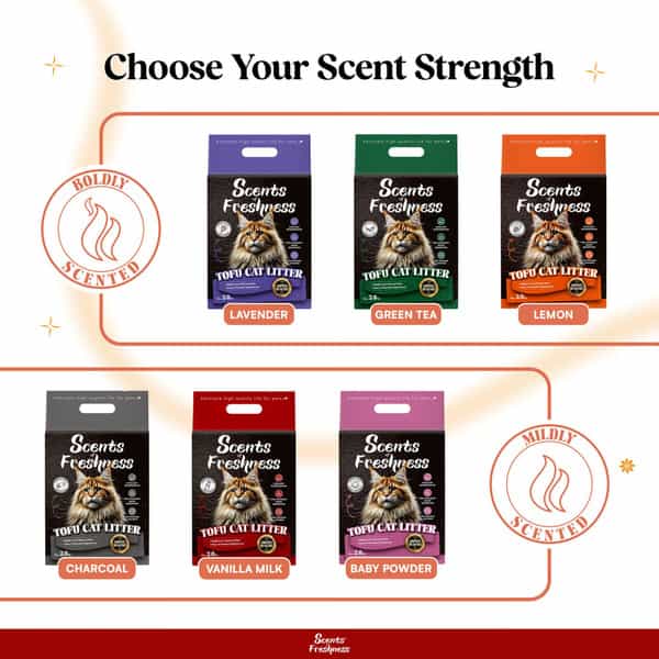 Scents Of Freshness - Premium Grade: 1 Percent Original Scent Original Color - 2.8Kg - 2Mm (Red)
