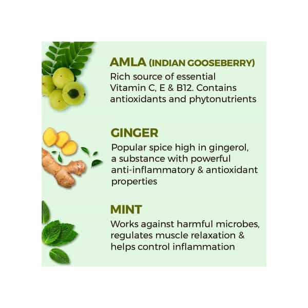 Akiva Love Vitamin C Shots With Amla Ginger Mint (15 Shots X 40Ml) - 600Ml