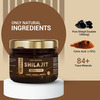 Nirvasa Shilajit Resin | Performance | Vigour And Vitality For Men( 20G)