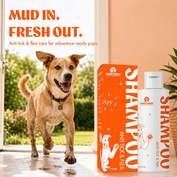 Pups & Paws Anti-Tick & Flea Dog Shampoo With 8% Neem | Tulsi | Aloe Vera & Tea Tree | 200 Ml