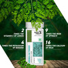 Bodyfirst Moringa Leaf Powder