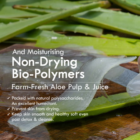 Nat Habit Roasted Chicory Gel Skin Detox Charcoal Face Wash (100g)