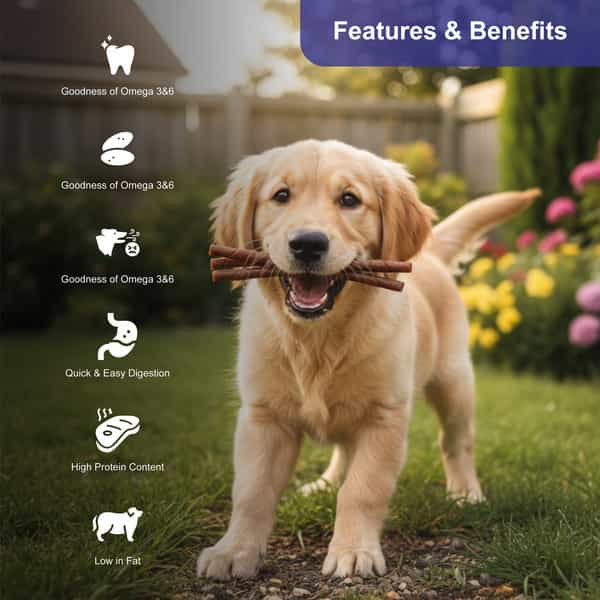 Snackers Non Rawhide Chews Chewy Roll Natural Dog Treats | 225 G