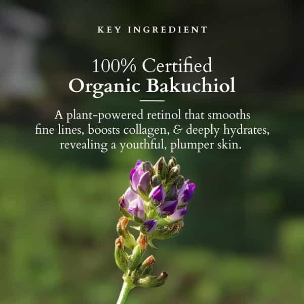 Lotus Organics+ Bakuchiol Plant Retinol Oil To Foam Cleanser 100Ml