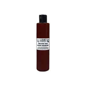 Love Earth Onion Shampoo With Onion | Reetha & Aloe Vera Extract For Hair Strengthening 200ml