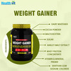 Healthvit Fitness Weight Gainer | Chocolate Flavour 1.5Kg / 3.3 Lbs