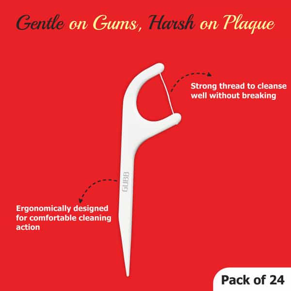 Gubb Usa Dental Floss For Teeth 24 Oral Care Flossing Thread Picks With Handle Pack Of 2 48 Flossers
