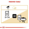 Royal Canin Persian Adult Food | 85 Grams | Pack Of 12 Sachet | Wet Food