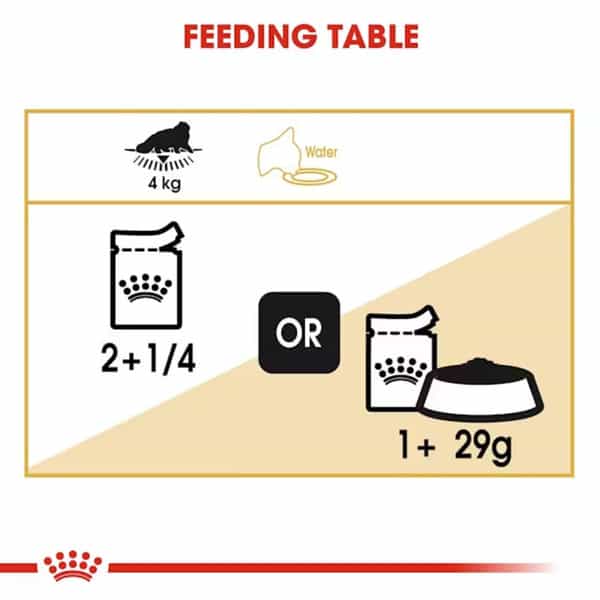 Royal Canin Persian Adult Food | 85 Grams | Pack Of 12 Sachet | Wet Food