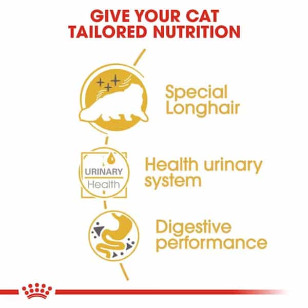 Royal Canin Persian Adult Food | 85 Grams | Pack Of 12 Sachet | Wet Food