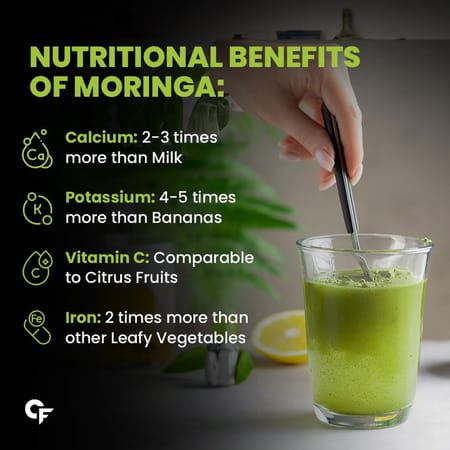 Carbamide Forte Moringa Powder Organic | Moringa Leaves Powder Organic For Immunity | Digestion-100g