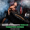 Naturyz Tribulus Terrestris 3000 Pro Gokshura | Strength | Energy & Stamina (20 Tablets)
