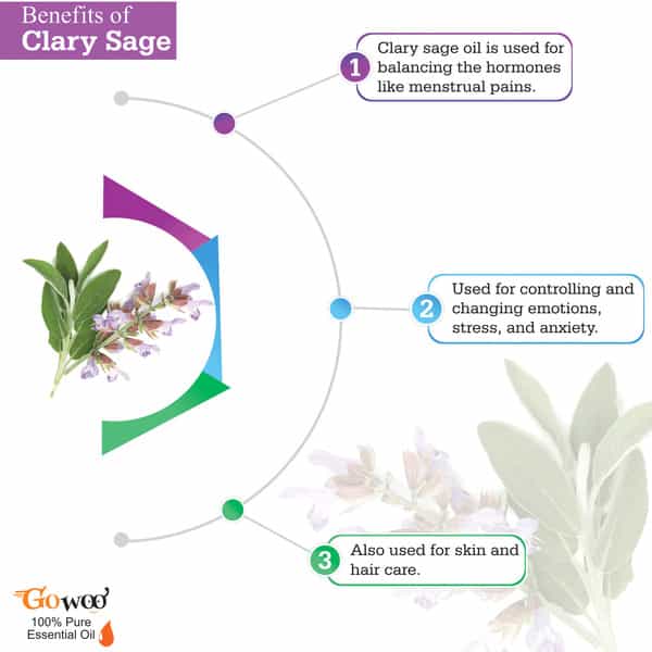 Go Woo 100% Pure Clary Sage Oil - Virgin & Undiluted For Skin Care & Hair 30 Ml
