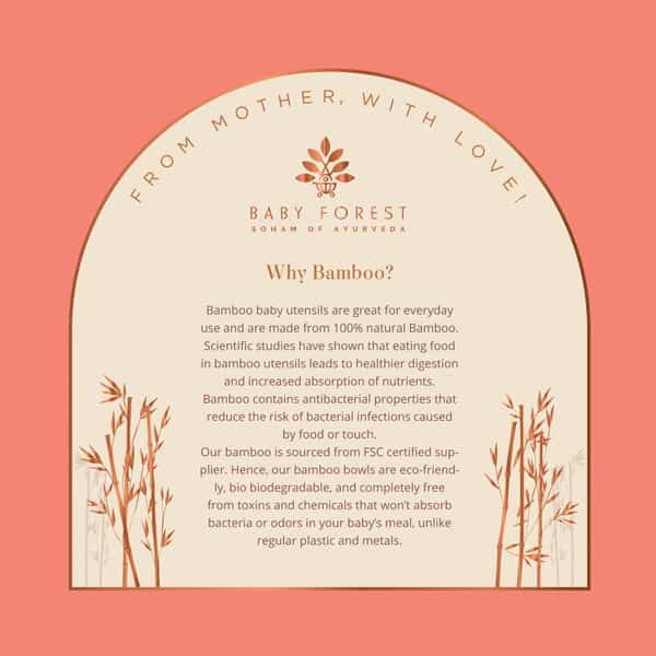 Baby Forest Laad Dulaar Bamboo Feeding Plate | Car Shape | Toxin & Chemical-Free
