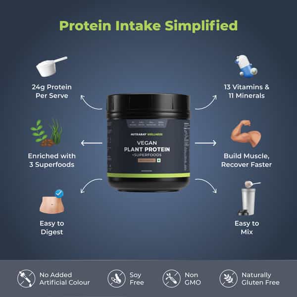 Nutrabay Wellness Vegan Plant Protein Powder + Superfoods Rich Chocolate - 500G