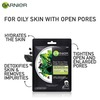 Garnier Skin Naturals Charcoal (Black) Face Serum Sheet Mask Tube Of 28 G