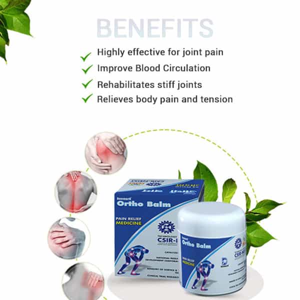 Deemark Ortho Balm | Ayurvedic Balm For Joint Pain Muscle Pain Osteoarthritis 50G Pack Of 2