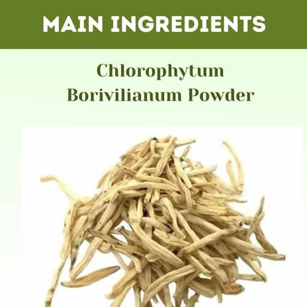 Herbal Hills Safed Musli Powder - 1 Kg Powder - Pack Of 5 - Chlorophytum Borivilianum