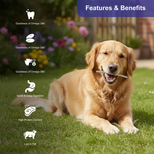 Snackers Non Rawhide Chews Chewy Roll White Dog Treats | 225 G