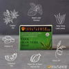 Soulflower Cool Aloevera Soap 150G (Set Of 2)