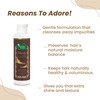 Mother Sparsh Jabapushp Natural Hair Cleanser-200Ml